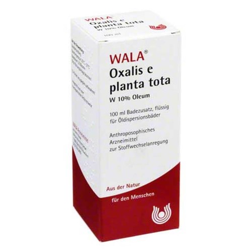 Oxalis planta tota o - oxalis, w