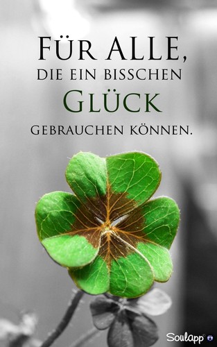 Glücksklee oxalis 15 - glücksklee,,