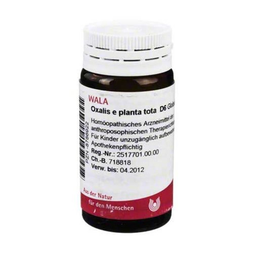 Oxalis planta tota 6 - tota, d